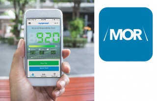 myopenroad copy